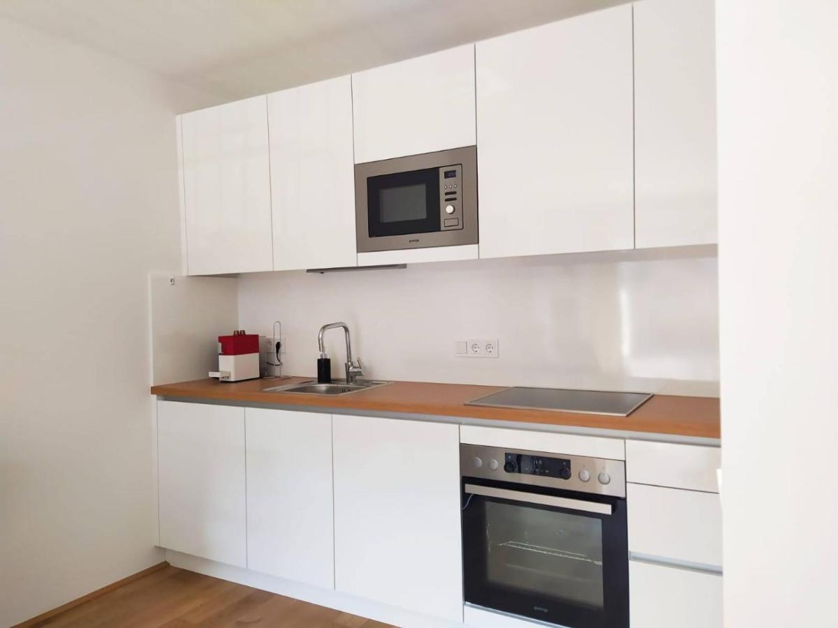 Deluxe Parkapartment Center - Free Parking! Apartment Wien